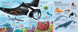 Usborne Big book of sea creatures