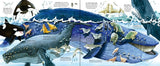 Usborne Big book of sea creatures