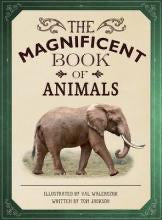 The Magnificent Book of Animals