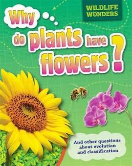 Why Do Plants Have Flowers? and Other Questions About Evolution and Classification (Paperback)