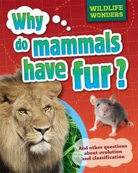 Why Do Mammals Have Fur? (Paperback)