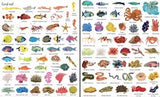 Usborne 1000 things under the sea