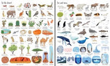 Usborne 1000 things in nature